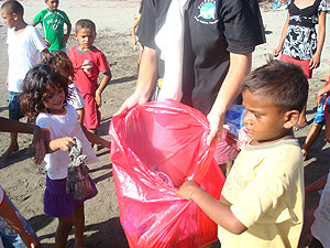 Beach Cleaning